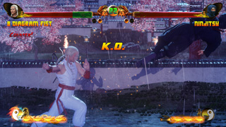 The Kung Fu vs Karate Champ