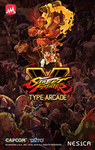 Street Fighter V Type Arcade